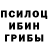 Псилоцибиновые грибы MAGIC MUSHROOMS Mikhail Lependin