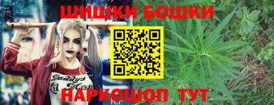 шишки Аргун