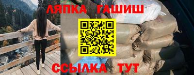 шишки Аргун