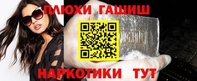 шишки Аргун