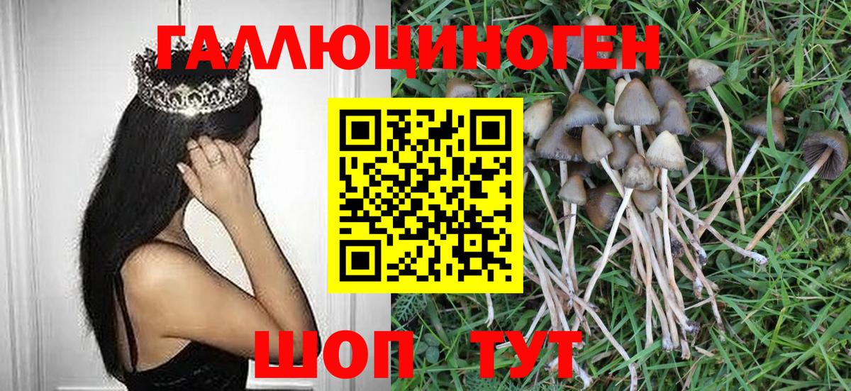 Псилоцибиновые грибы мухоморы Балабаново