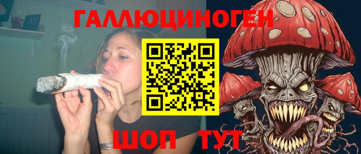 Псилоцибиновые грибы Cubensis  Балабаново 